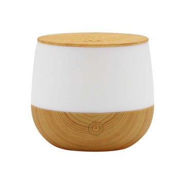 Cute Electric Ultrasonic Air Aroma Diffuser